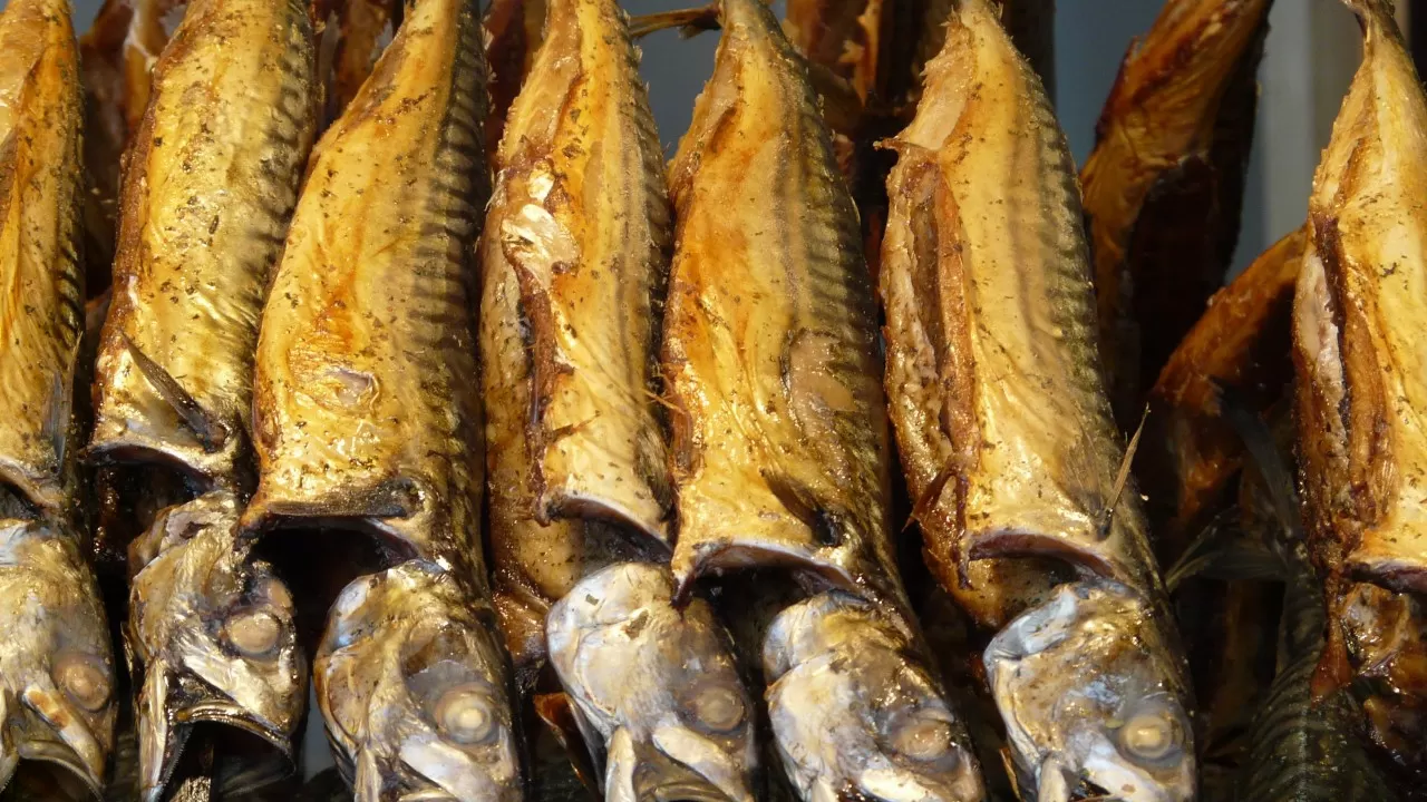 Названы города с самой дешевой рыбой в РК 