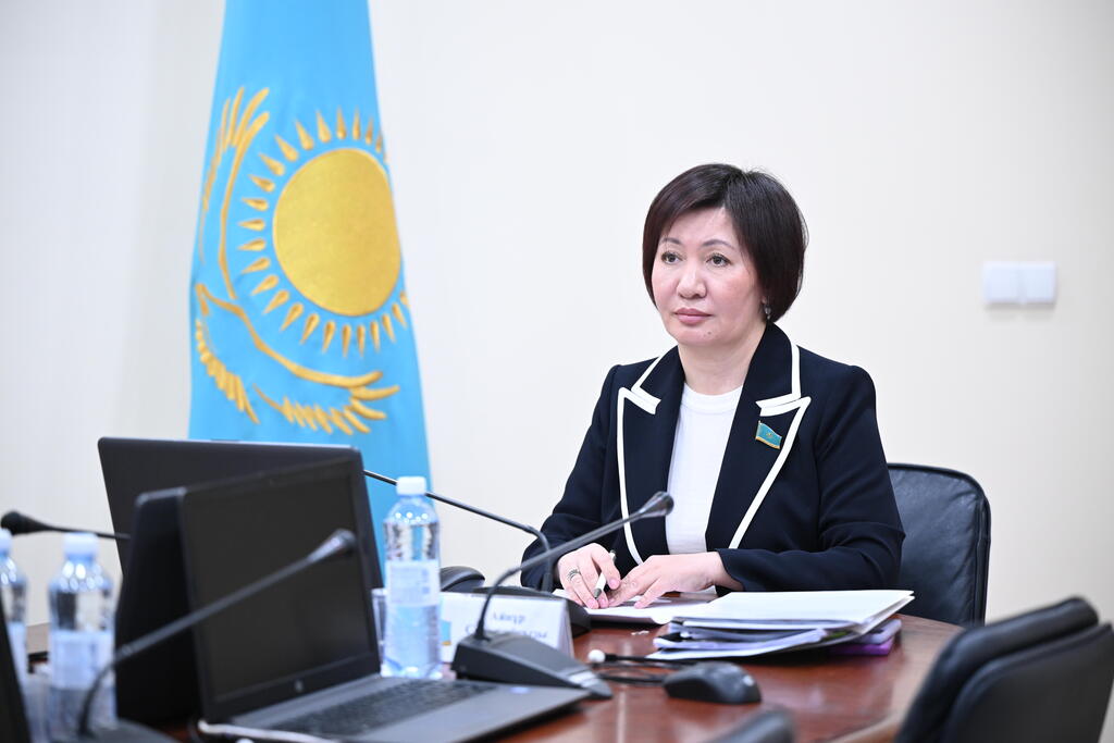 Спорт нысандарының бір бөлігі ерекше қажеттілігі бар адамдарға әлі бейімделмеген &ndash; сенат