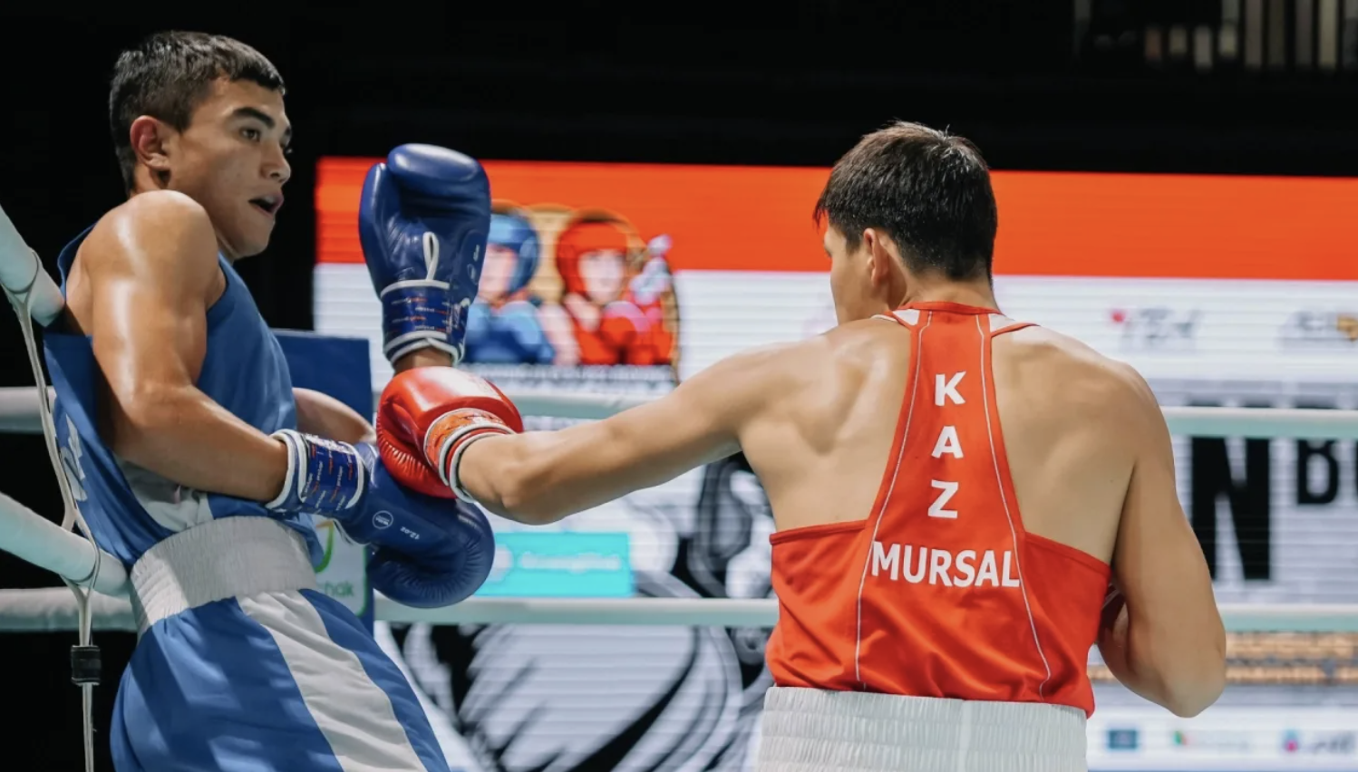 Үкімет 2026-2030 жылдарға арналған боксты дамыту тұжырымдамасын бекітті