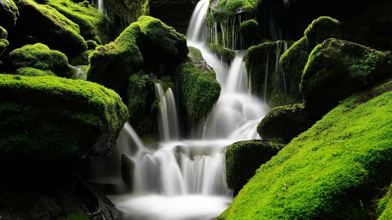 Сохраняя чистые воды и зеленые горы, совместно строим прекрасный общий дом  