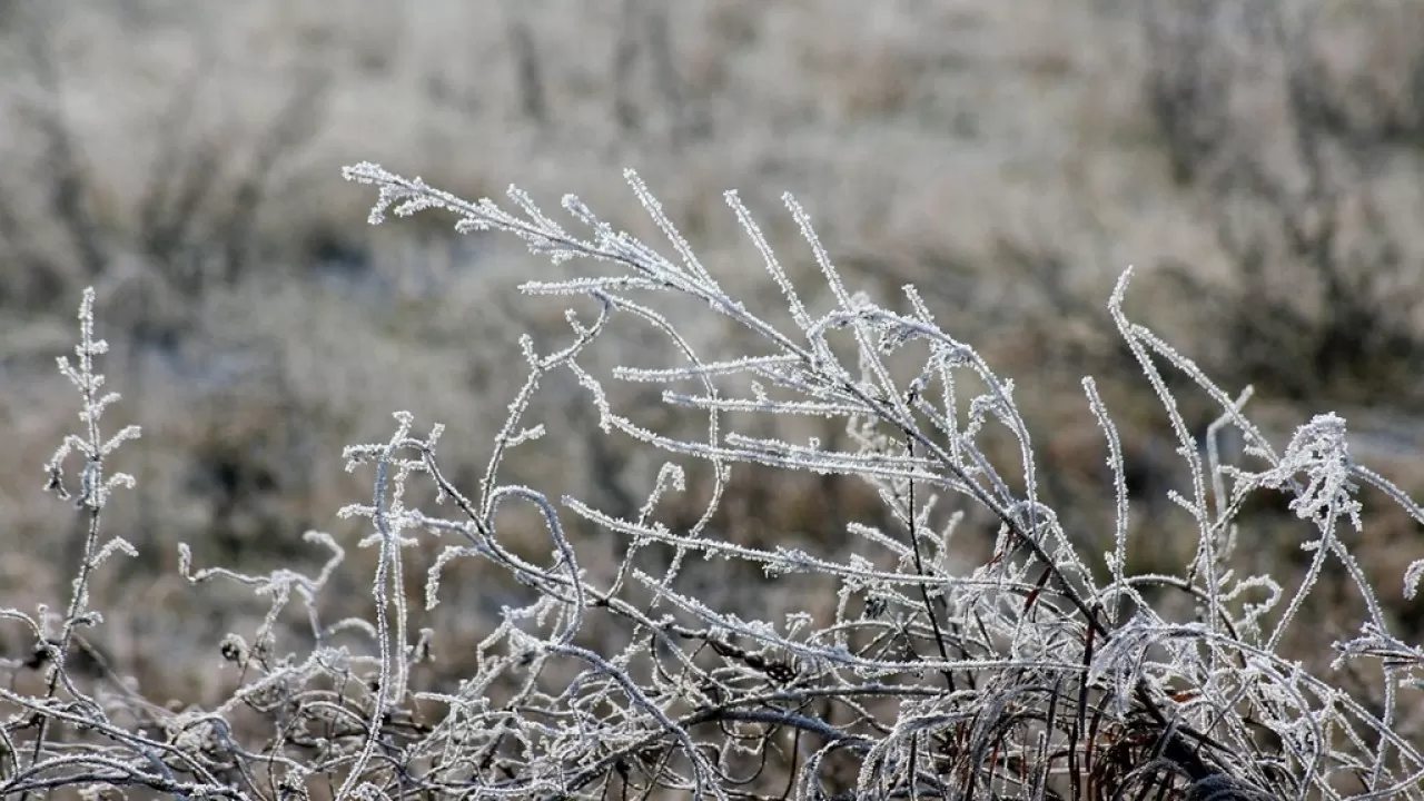 Снег и заморозки: в Казахстане объявили штормовое предупреждение на 18 апреля