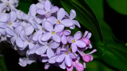 12 апреля: день, богатый на события