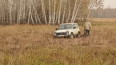Пенсионер застрял в грязи во время поиска пропавших лошадей 