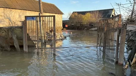 Шесть человек погибли в результате наводнений в Дагестане