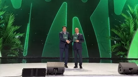 В Карагандинской области совместно с Китаем построят ветропарк на 500 МВт 