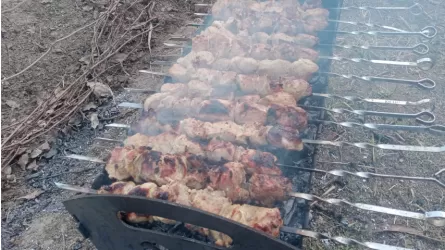 Шашлык может быть опасен: что важно знать  