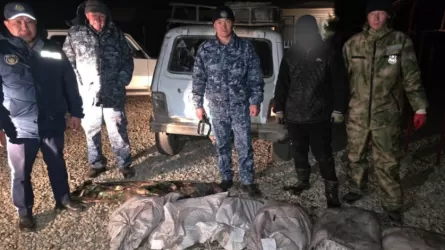 Нерест под угрозой: в ВКО пресекли крупный незаконный улов  