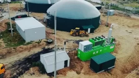 Птицефабрики РК вырабатывают энергию из птичьего помета 