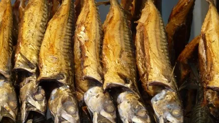 Названы города с самой дешевой рыбой в РК 