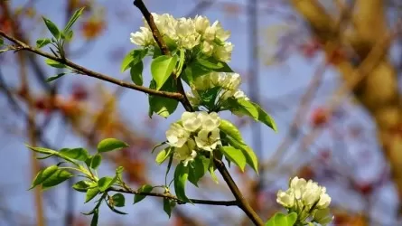 Праздники 19 апреля: что отмечают в мире 