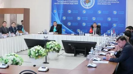 Казахстан и Кыргызстан объединяются по линии ЧС  