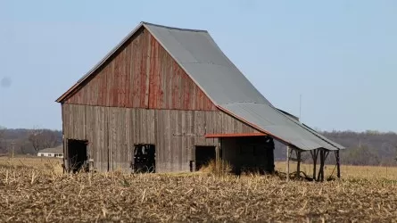 Госпомощь казахстанцу на 250 млн тенге обернулась пустыми фермами