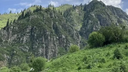 Государство вернуло себе сотни гектаров земли у &laquo;Медеу&raquo; 