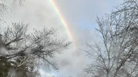 Снег, дождь и сильный ветер ждет казахстанцев в середине апреля 