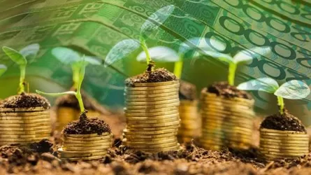 Льготные кредиты дали мощный эффект в агросекторе РК  