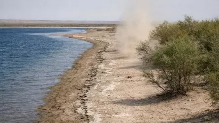 На Арале внедряют новые экологические технологии 