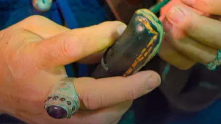 Книги, ремесла и технологии ждут туристов РК в апреле  