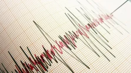 Тряхнуло: соседи Казахстана ощутили землетрясение 