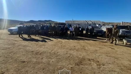 Исчез вместе с лошадью: в ВКО всю ночь искали пропавшего пастуха