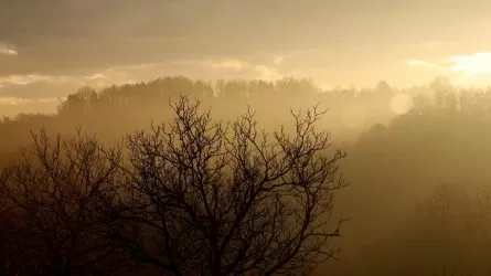 Синоптики порадовали казахстанцев прогнозом на 16 апреля