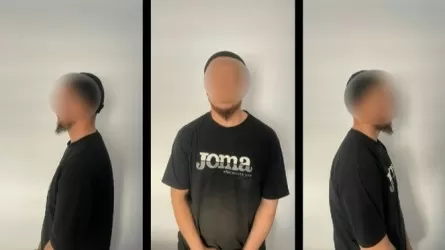 Сторонника террористов поймали в соседней стране 