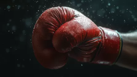 Фьюри намерен провести три боя в 2026 году 