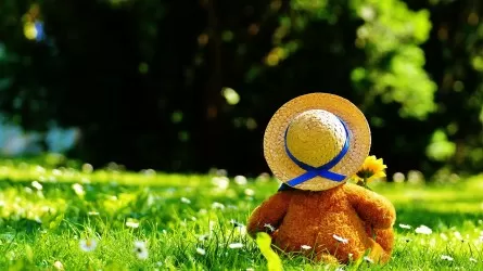 Новые меры против буллинга и насилия в отношении детей ввели в Казахстане 