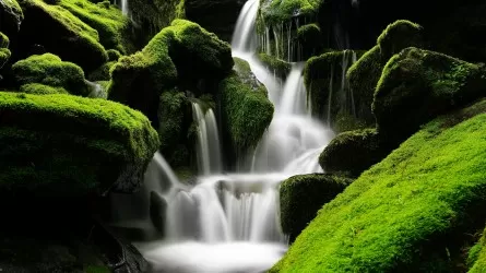 Сохраняя чистые воды и зеленые горы, совместно строим прекрасный общий дом  