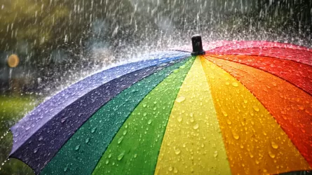 В Алматы и Шымкенте будет дождь, а в Астане нет 