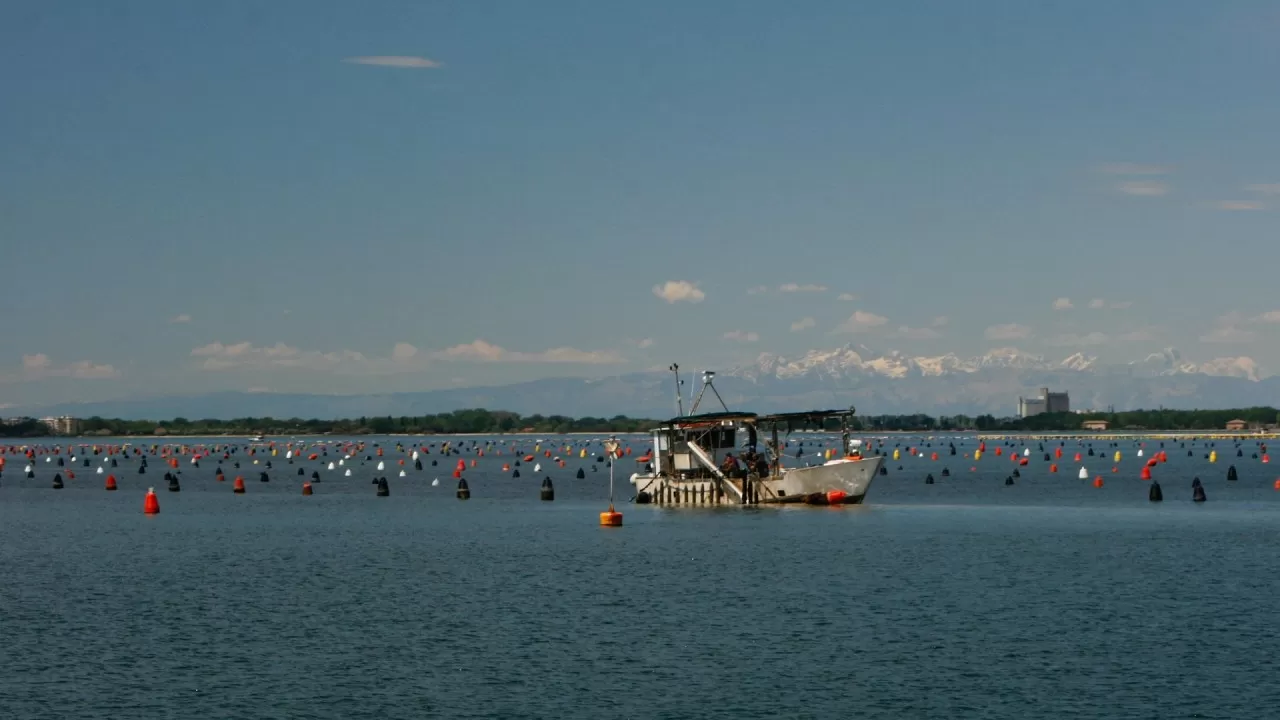 Рыба или климат: что выбирает рынок  