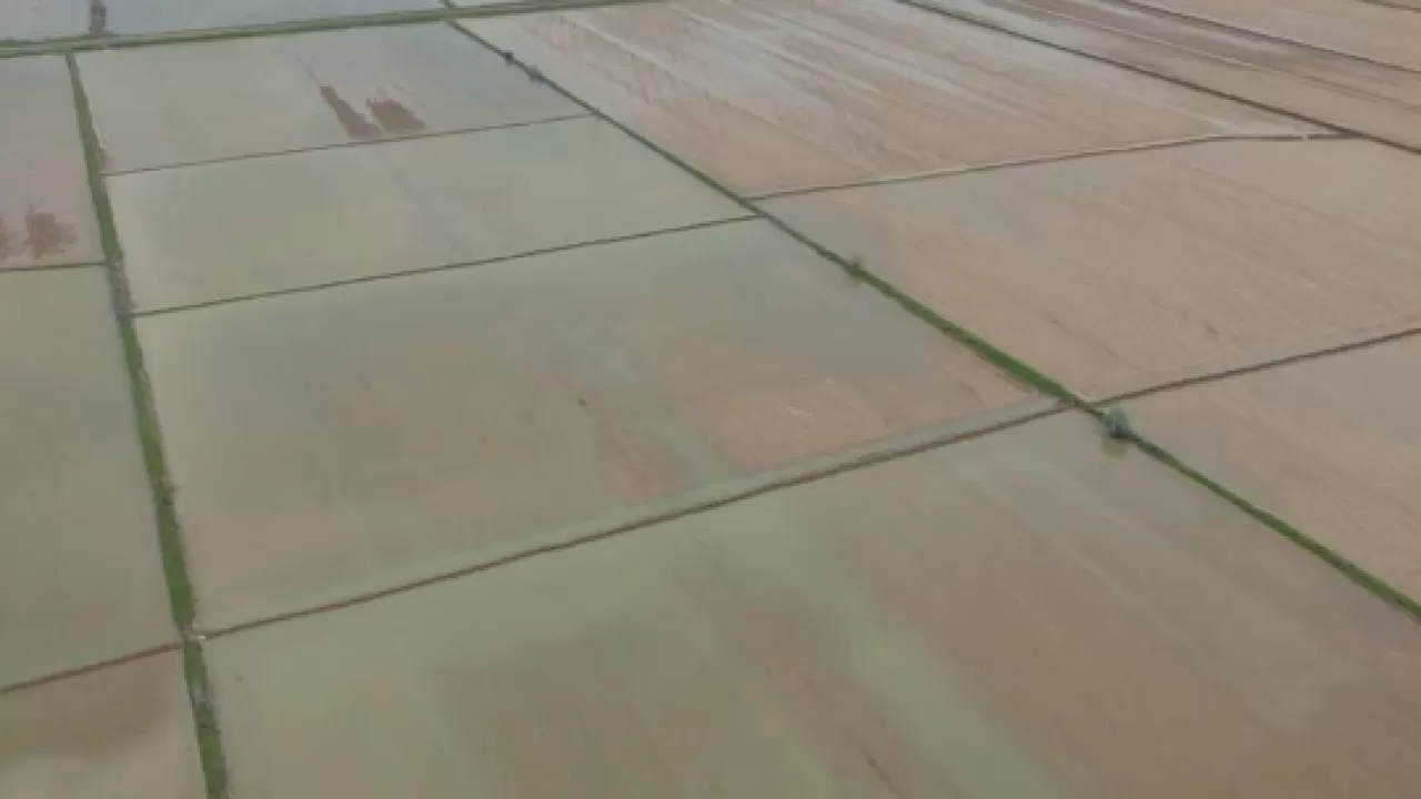 Зачем промыли почву в Туркестанской области 