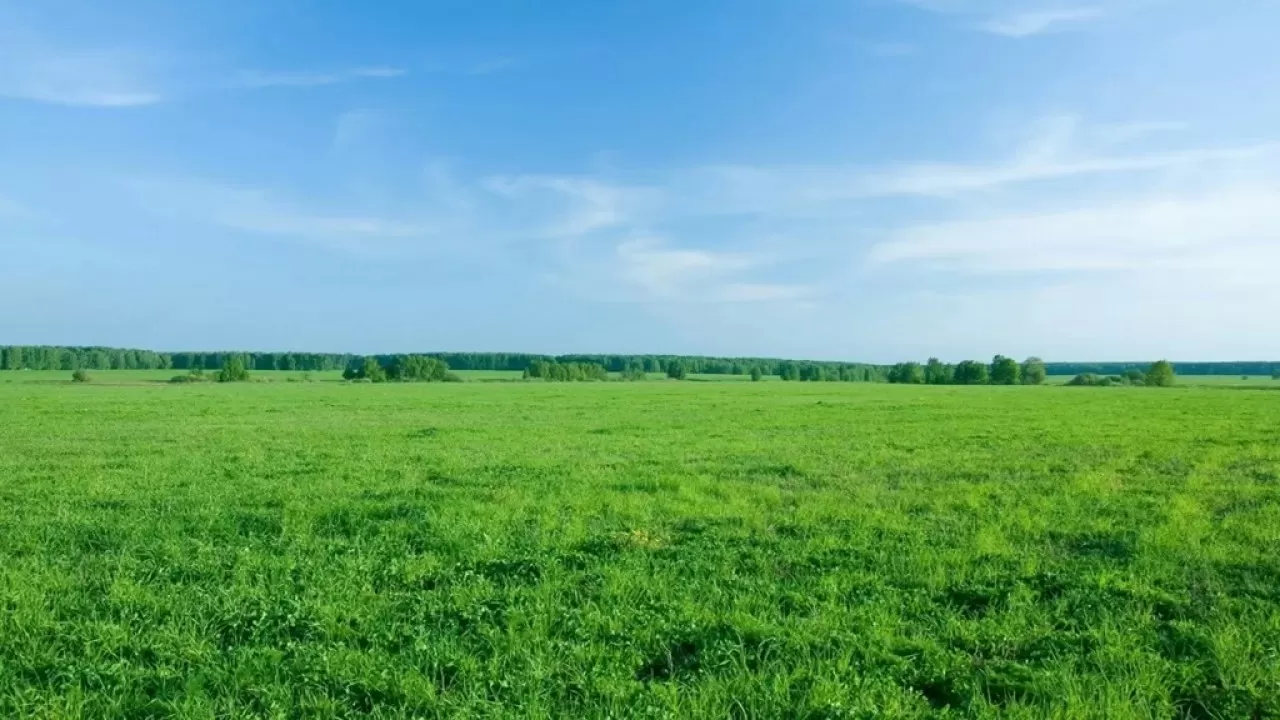 Суд лишил казахстанца выданной под многоквартирный ЖК земли