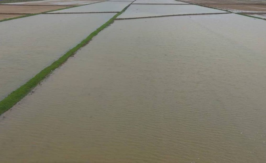 Түркістан облысында сор шаю үшін 400 млн текше метр су берілді