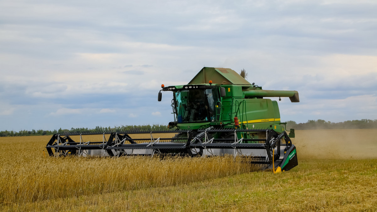Ақмола облысында астықты терең өңдеу зауыты салынады