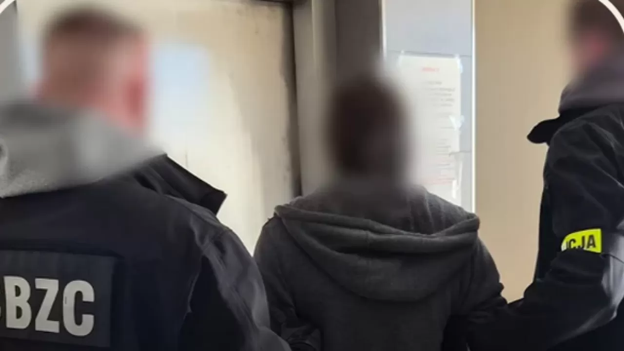 Свыше 120 педофилов задержали в Польше: полиция изъяла сотни тысяч запрещенных порнофайлов 