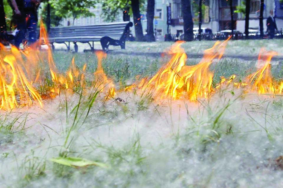 Төтенше жағдайлар министрлігі терек мамығының өрт қаупі туралы ескертті