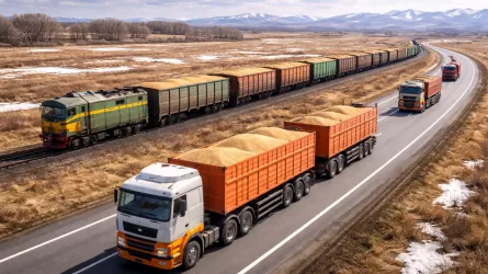 Вывоз зерна в Казахстане оказался под угрозой полной остановки 