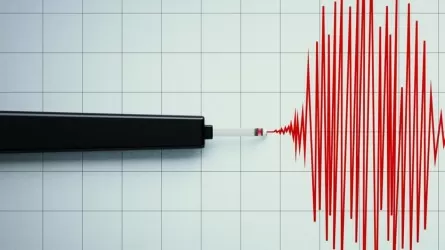 Мощное землетрясение произошло 29 мая у границ РК 