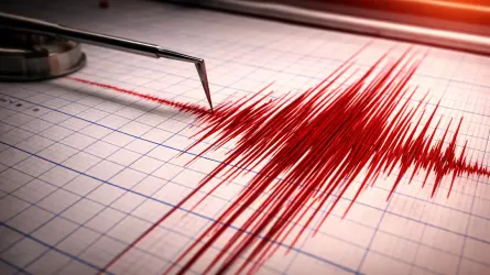 Сильное землетрясение в Узбекистане: что известно 