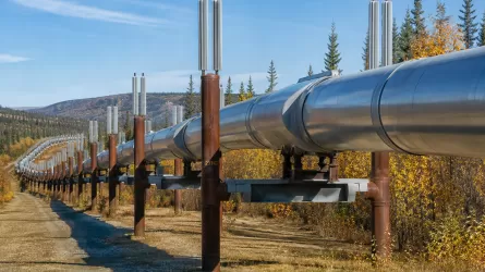 Россия пока не может возобновить транзит казахстанской нефти по &laquo;Дружбе&raquo;