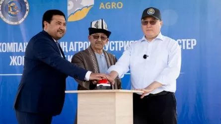Пустующие земли превращают в высокотехнологичные агрофермы в Алматинской области 