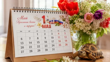 23 мая &ndash; Всемирный день черепахи и другие праздники в мире