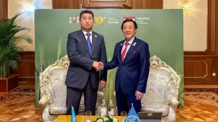 Казахстан запускает новые агропроекты с ФАО  