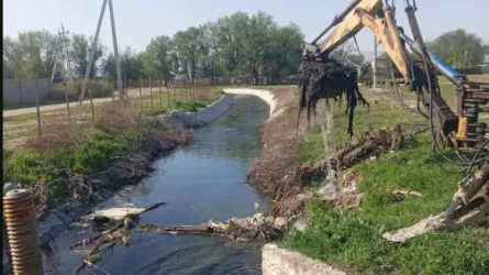 Поливные каналы приводят в порядок перед сезоном в Жамбылской области 