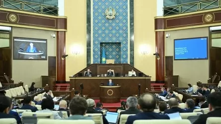 Парламент принял закон о новом органе при президенте РК