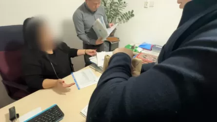 Колледж-призрак: как из тюрьмы управляли хищением 1,3 млрд тенге