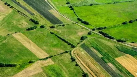 Инвестору вернули право на участок для строительства электростанции в Актюбинской области