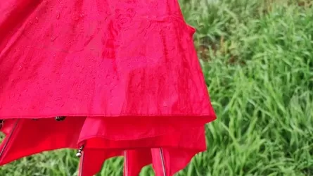 Последняя неделя мая готовит казахстанцам новые погодные сюрпризы и капризы 