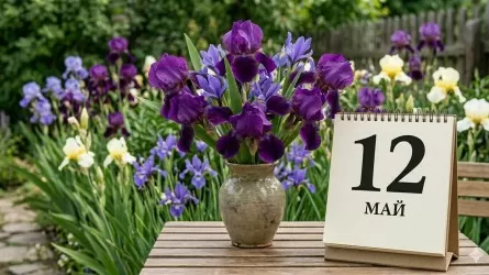 12 мая отмечается Международный день медицинской сестры