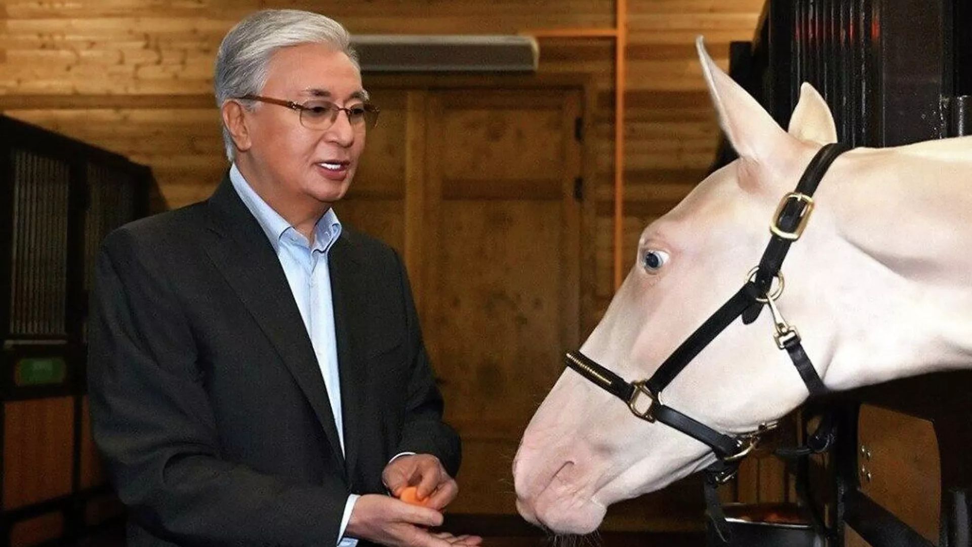 Президент сыйға тартылған тұлпарларды арнайы барып көрді
